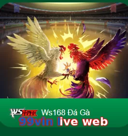 99vin live web